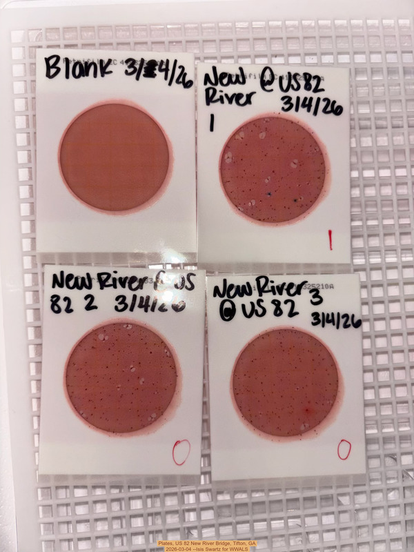 [Plates, US 82 New River Bridge, Tifton, GA 2026-03-04 --Isis Swartz for WWALS]