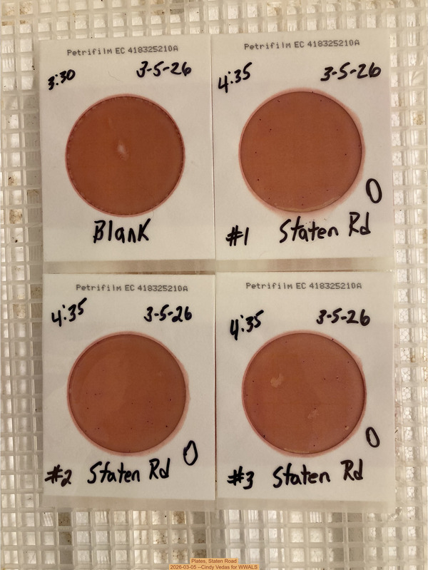 [Plates, Staten Road 2026-03-05 --Cindy Vedas for WWALS]