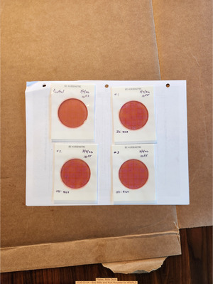 [Plates, Mills Dock 2026-03-04 --Bob Mills and Kurt Hurzeler for WWALS]