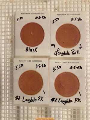 [Plates, Langdale Park Boat Ramp 2026-03-05 --Cindy Vedas for WWALS]