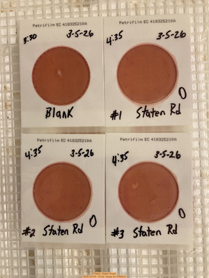 [Plates, Staten Road 2026-03-05 --Cindy Vedas for WWALS]