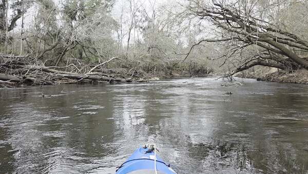 Movie: We chainsawed through here, 2026:03:07 11:07:31 (8.3M) --jsq for WWALS