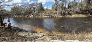 [WWALS banner at Spook Bridge Landing, 2026:03:07 12:54:31, 30.7894321, -83.4512968 --jsq for WWALS]