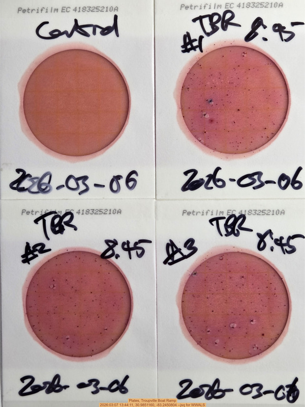 Plates, Troupville Boat Ramp, 2026:03:07 13:44:11, 30.9851160, -83.2450804 --jsq for WWALS