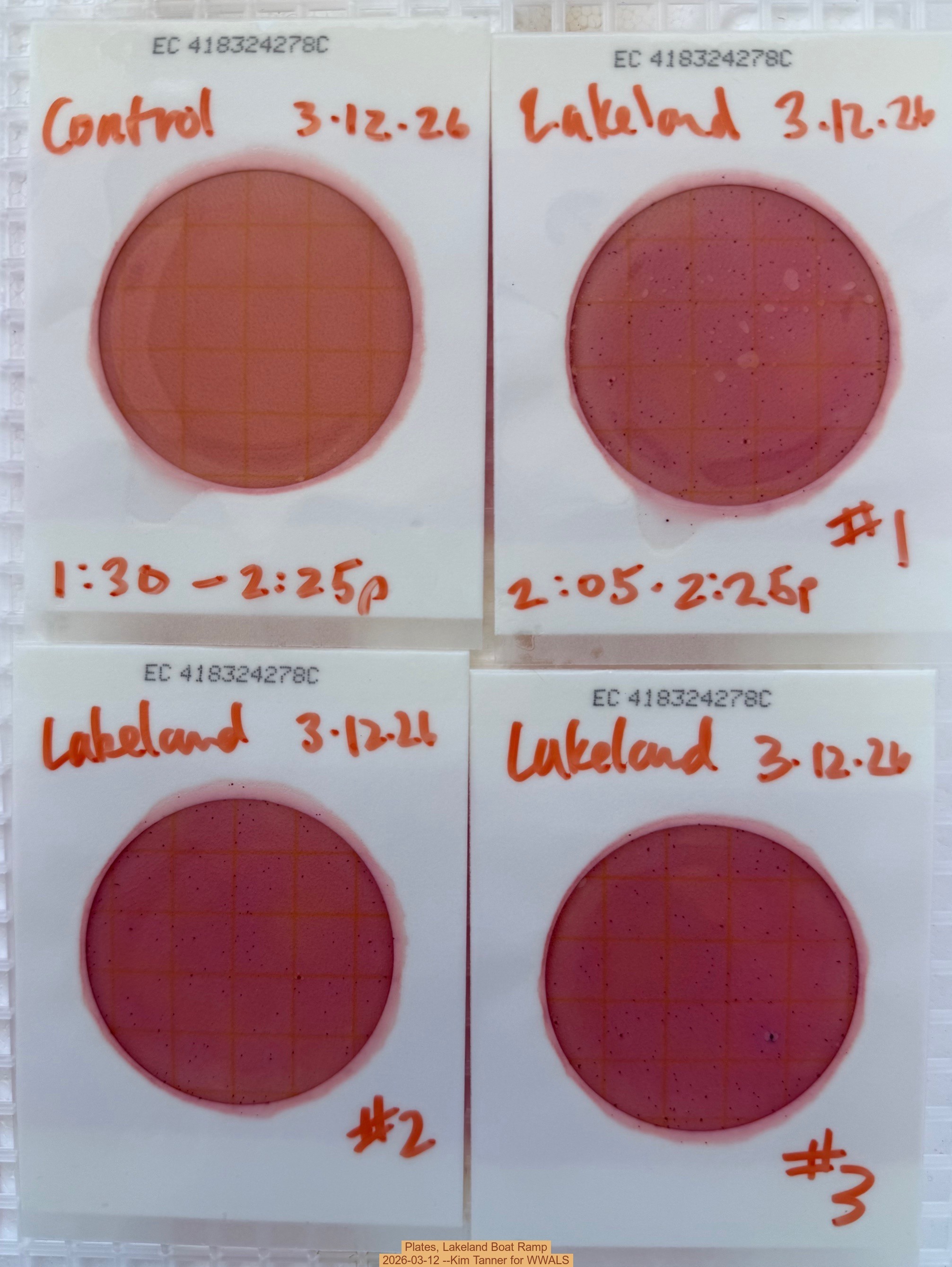 Plates, Lakeland Boat Ramp 2026-03-12 --Kim Tanner for WWALS