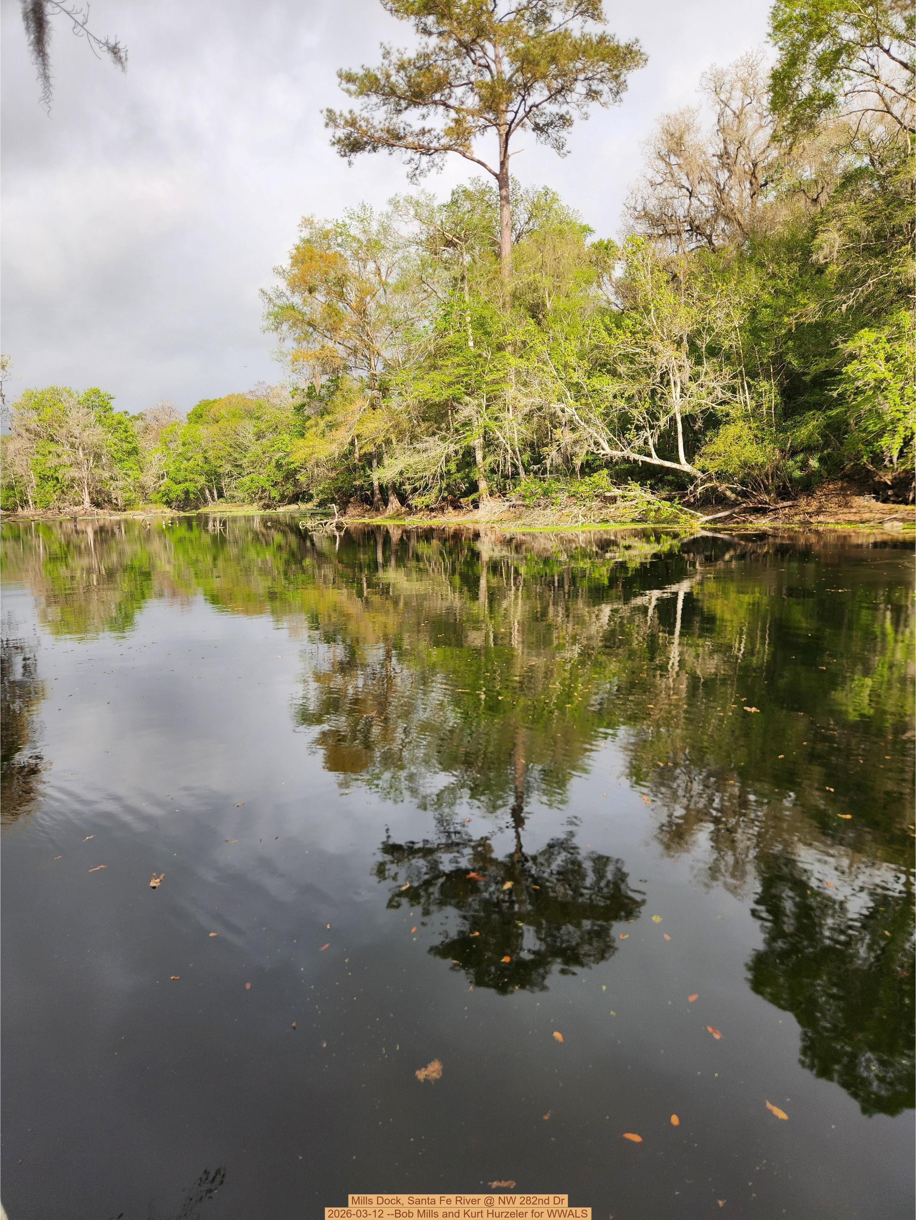 Mills Dock, Santa Fe River @ NW 282nd Dr 2026-03-12 --Bob Mills and Kurt Hurzeler for WWALS