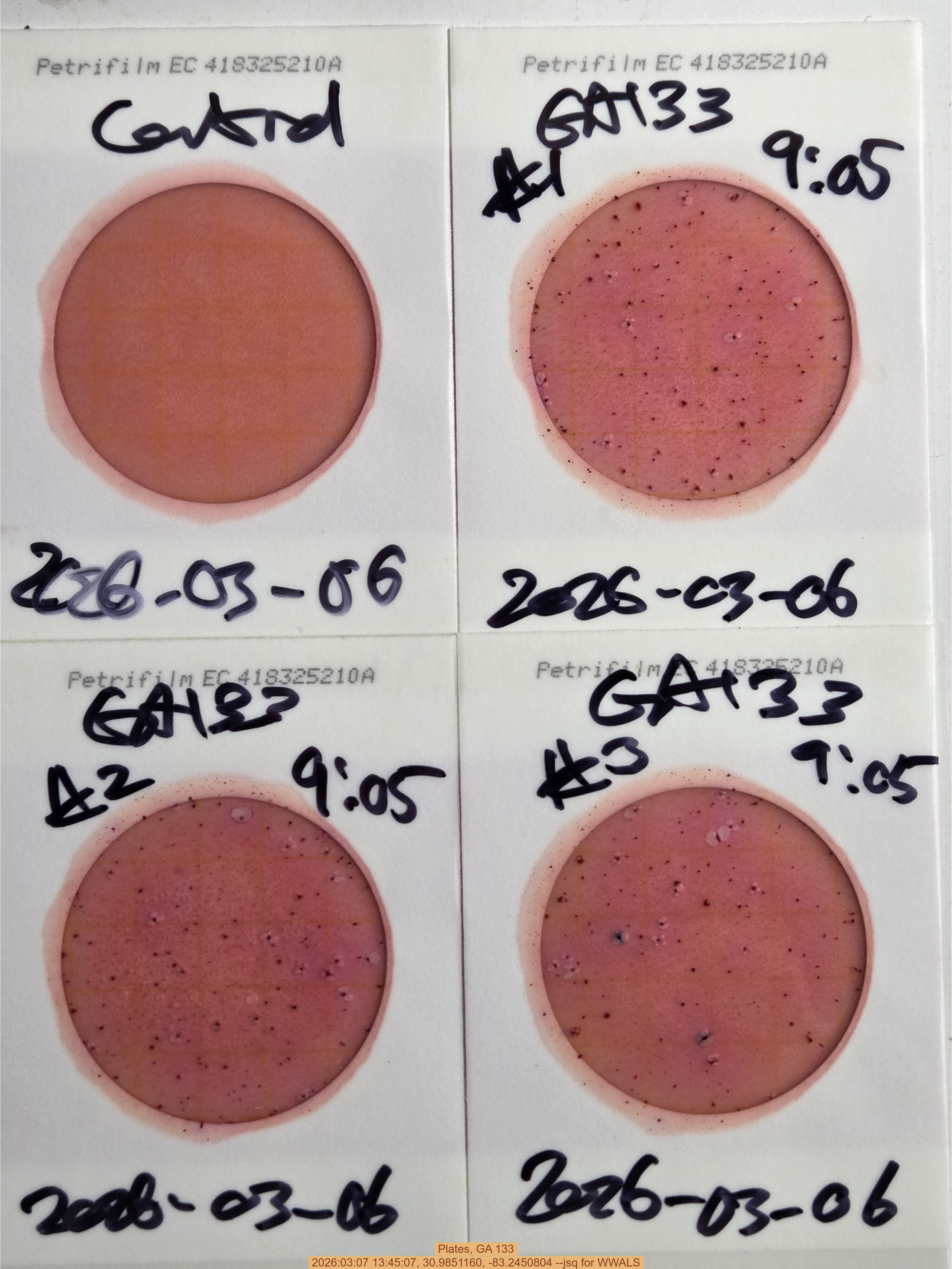 Plates, GA 133, 2026:03:07 13:45:07, 30.9851160, -83.2450804 --jsq for WWALS