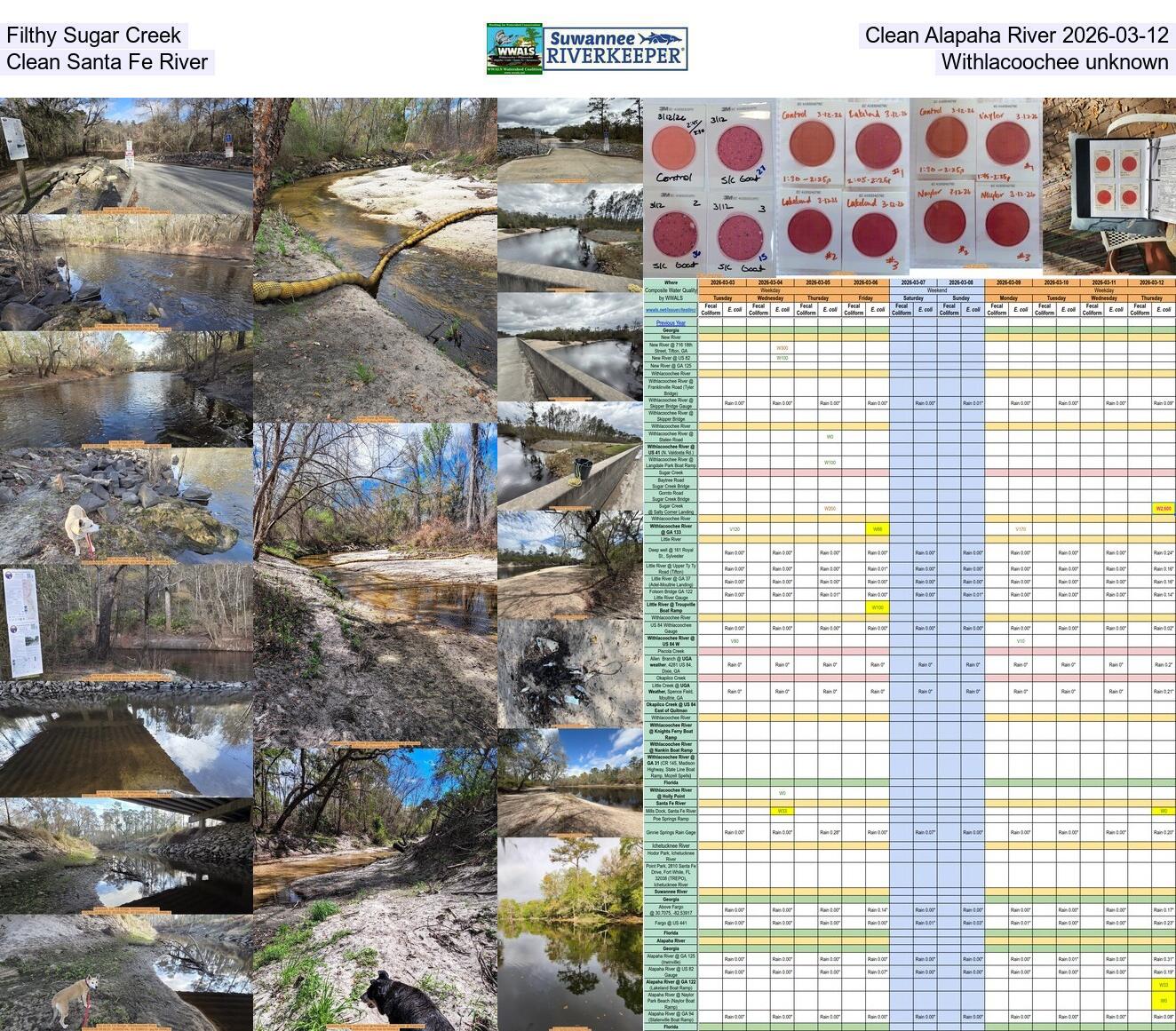 [Filthy Sugar Creek, Clean Alapaha River 2026-03-12, Clean Santa Fe River, Withlacoochee unknown]