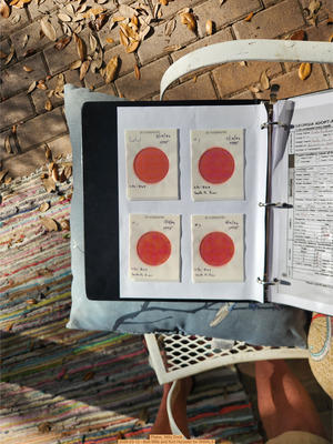 [Plates, Mills Dock 2026-03-12 --Bob Mills and Kurt Hurzeler for WWALS]