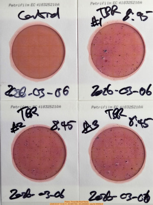 [Plates, Troupville Boat Ramp, 2026:03:07 13:44:11, 30.9851160, -83.2450804 --jsq for WWALS]