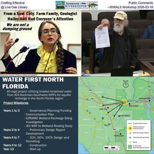 [Crafting Effective Public Comments @ Live Oak Library --WWALS Workshop 2026-03-18]