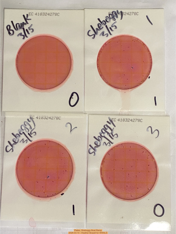 [Plates, Sheboggy Boat Ramp 2026-03-14 --Heather Brasell for WWALS]