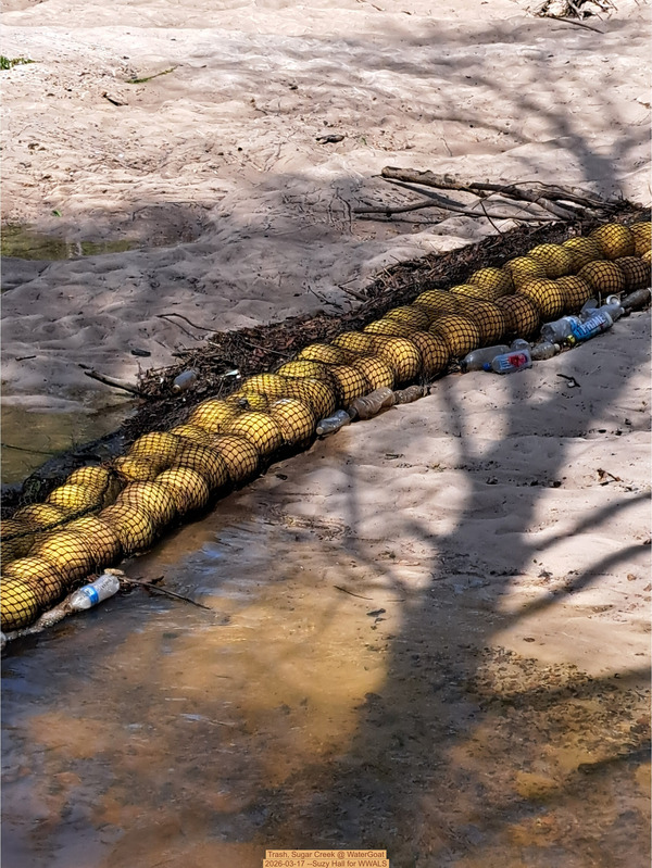 [Trash, Sugar Creek @ WaterGoat 2026-03-17 --Suzy Hall for WWALS]