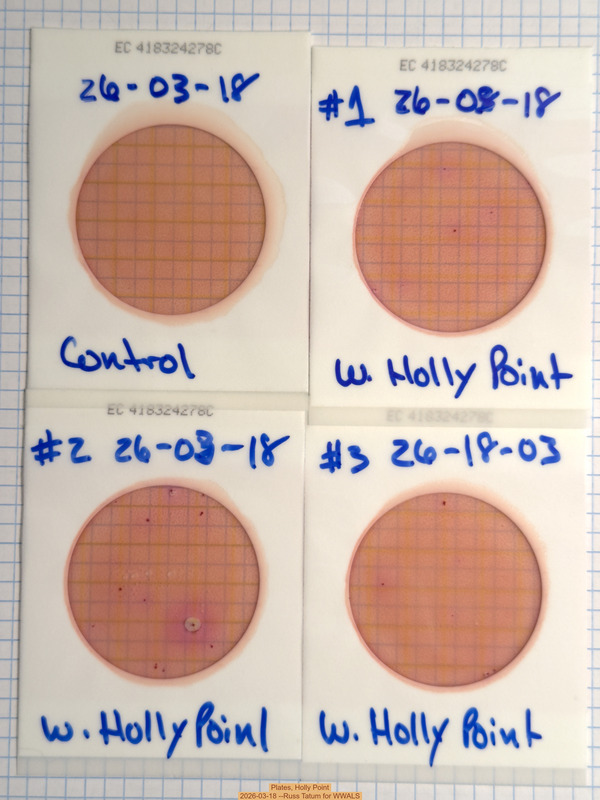 [Plates, Holly Point 2026-03-18 --Russ Tatum for WWALS]