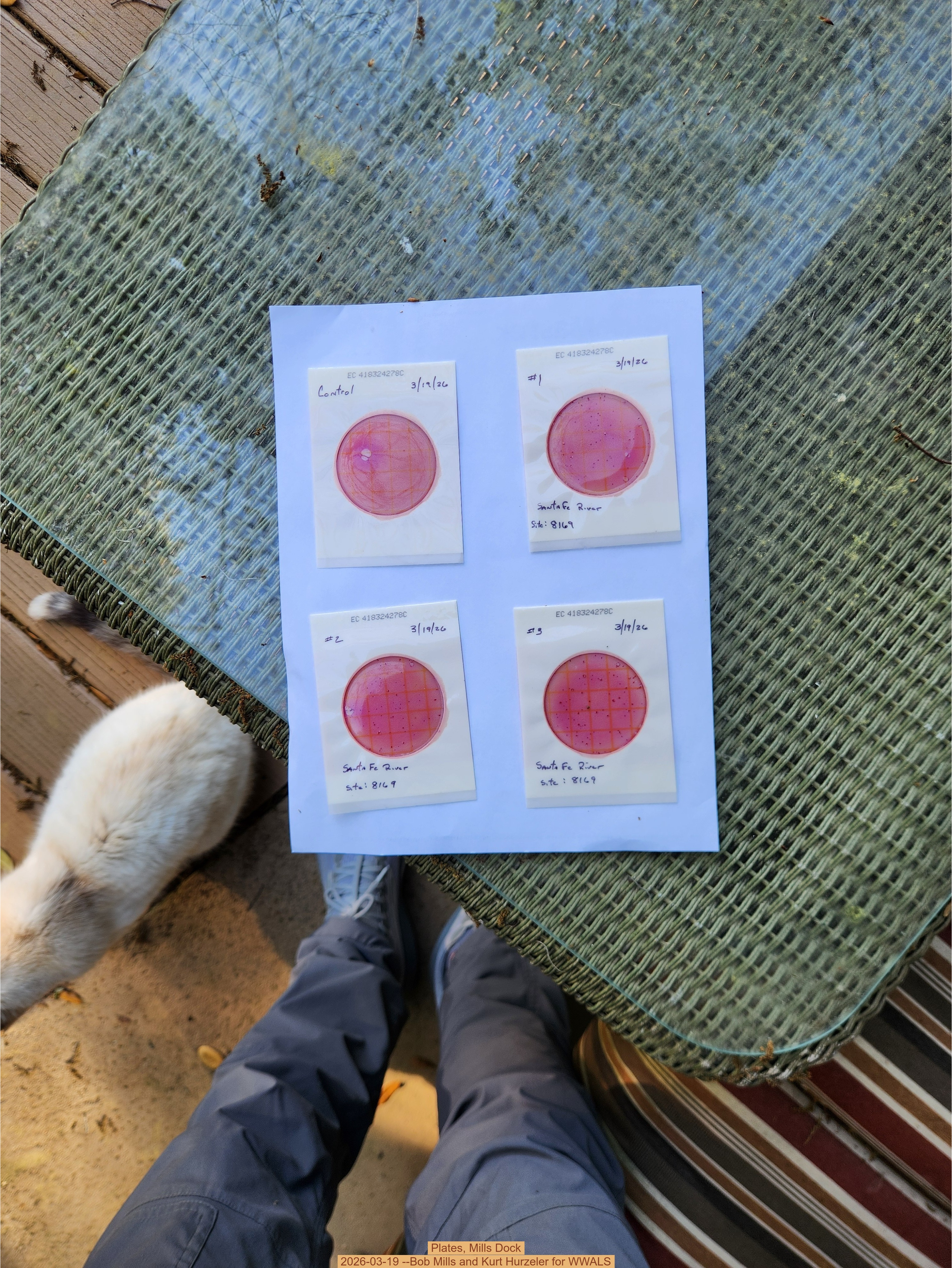 Plates, Mills Dock 2026-03-19 --Bob Mills and Kurt Hurzeler for WWALS