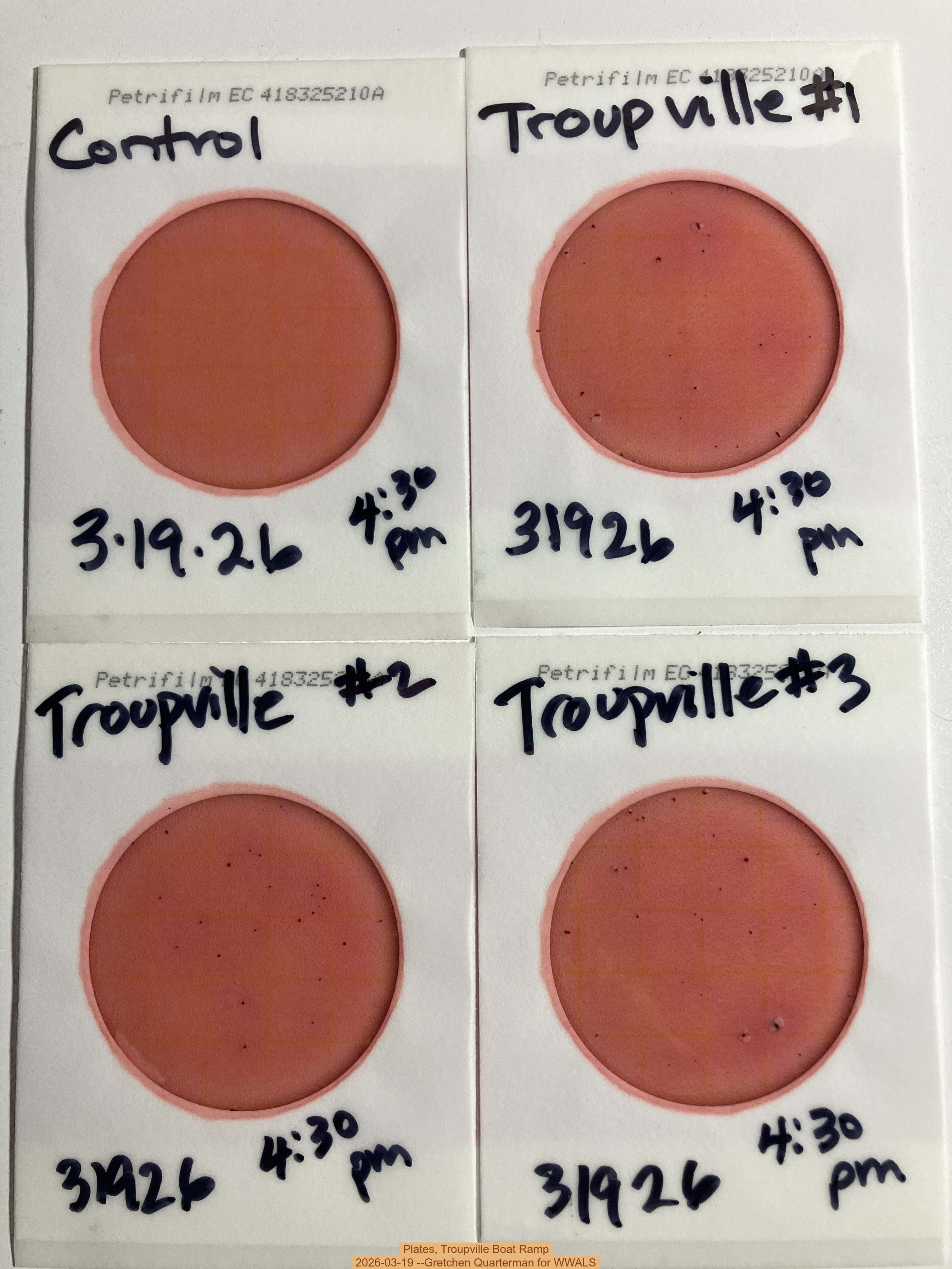 Plates, Troupville Boat Ramp 2026-03-19 --Gretchen Quarterman for WWALS