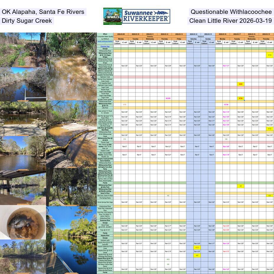 OK Alapaha, Santa Fe Rivers, Questionable Withlacoochee, Dirty Sugar Creek, Clean Little River 2026-03-19