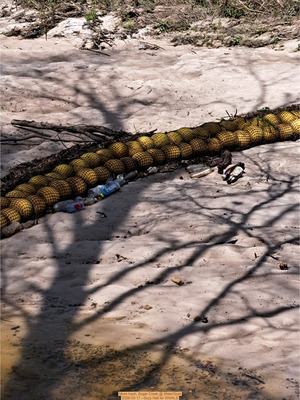 [More trash, Sugar Creek @ WaterGoat 2026-03-17 --Suzy Hall for WWALS]