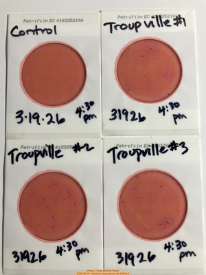 [Plates, Troupville Boat Ramp 2026-03-19 --Gretchen Quarterman for WWALS]