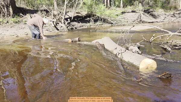 Movie: Actually, Phil had to saw a bit more, 2026:03:21 10:18:07 (7.5M) --jsq for WWALS