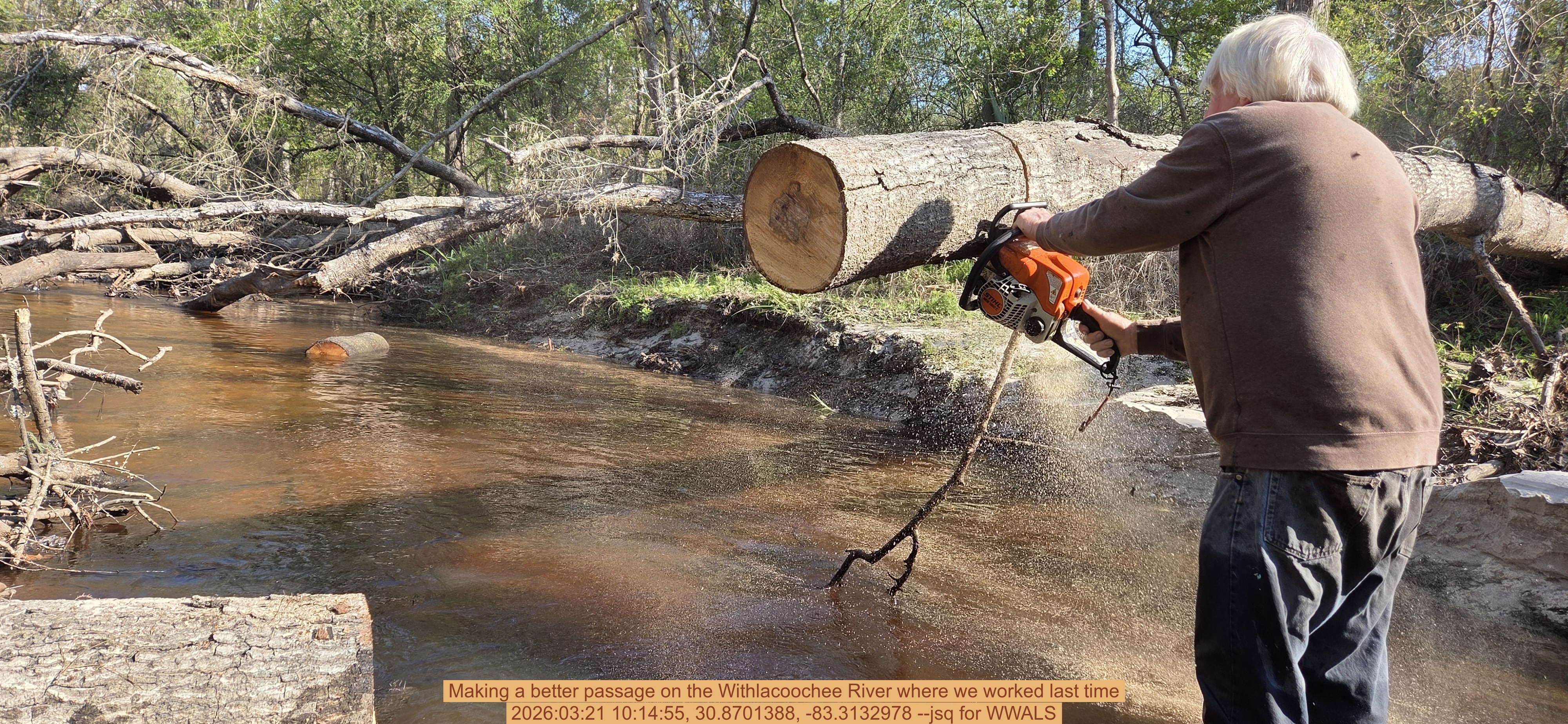 Making a better passage on the Withlacoochee River where we worked last time, 2026:03:21 10:14:55, 30.8701388, -83.3132978 --jsq for WWALS