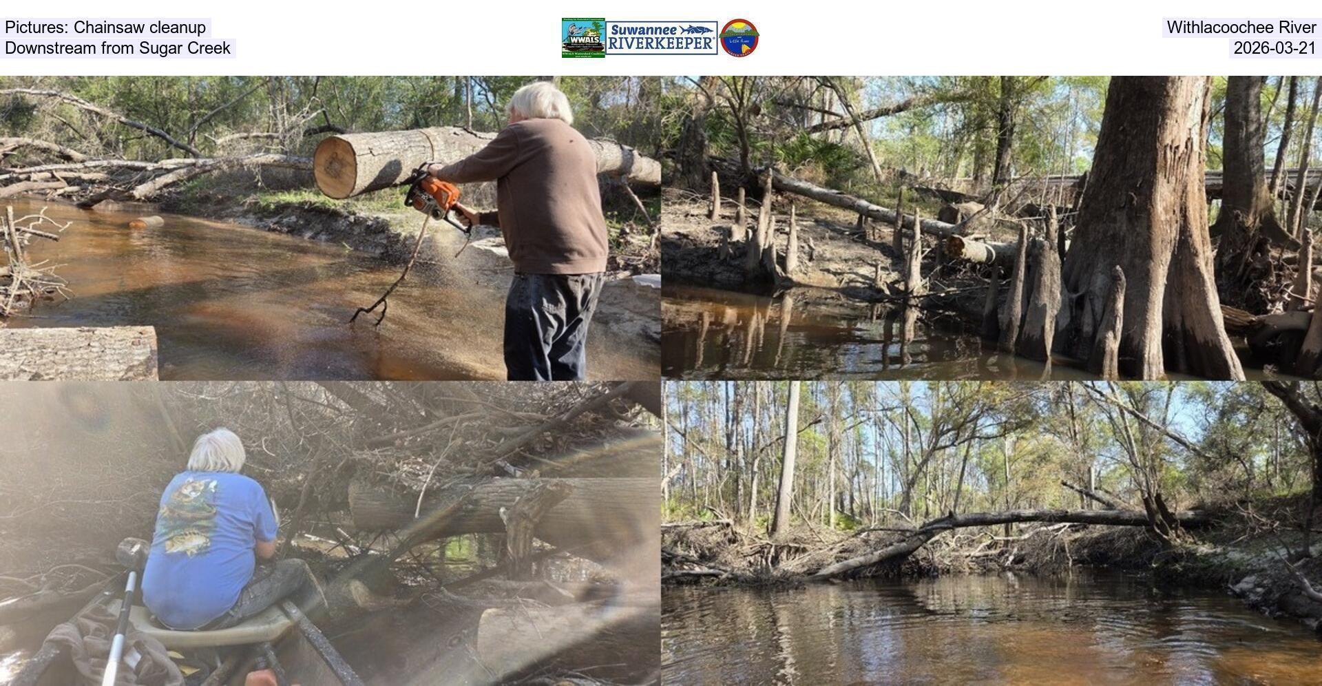 [Pictures: Chainsaw cleanup, Withlacoochee River, Downstream from Sugar Creek, 2026-03-21]