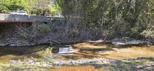 [Just upstream from Gornto Road Bridge, 2026:03:21 11:31:25, 30.8595511, -83.3172514 --jsq for WWALS]