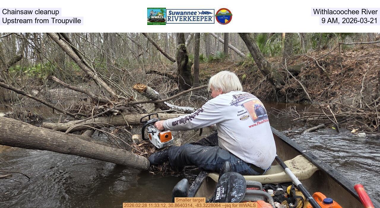 Chainsaw cleanup, Withlacoochee River, Upstream from Troupville, 9 AM, 2026-03-21