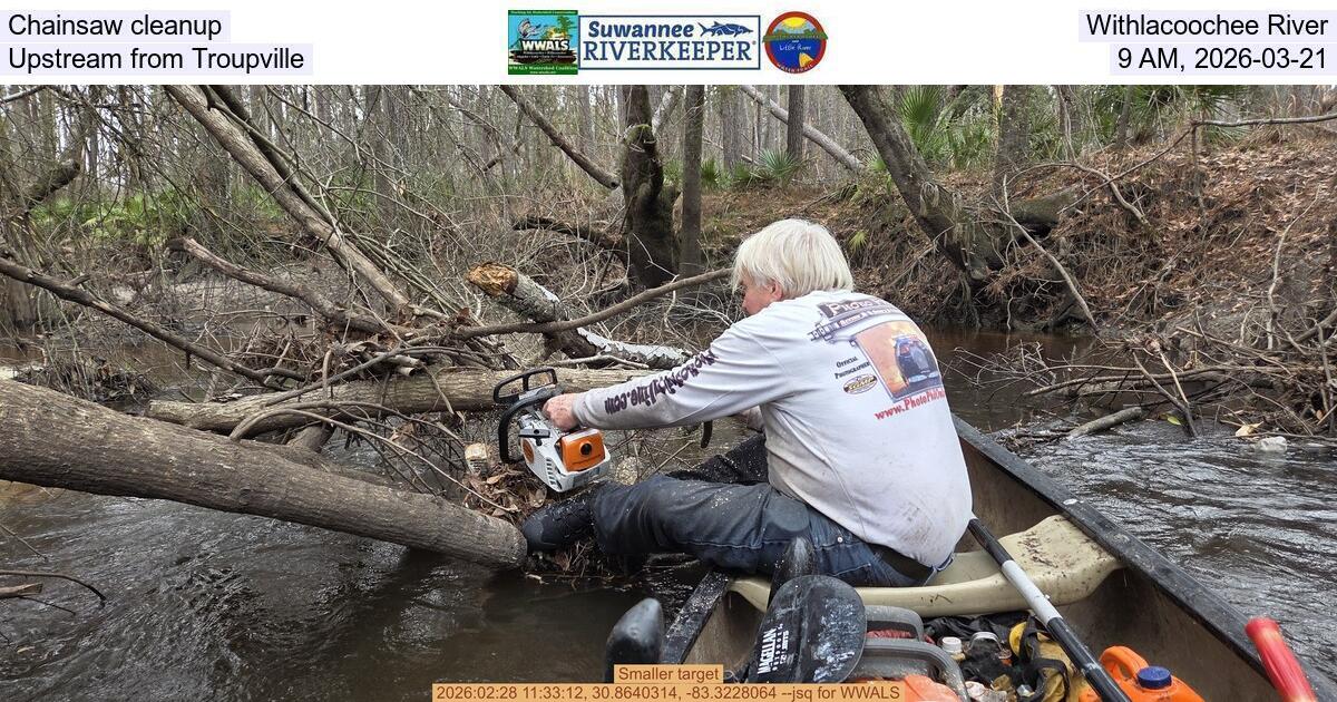 [Chainsaw cleanup, Withlacoochee River, Upstream from Troupville, 9 AM, 2026-03-21]