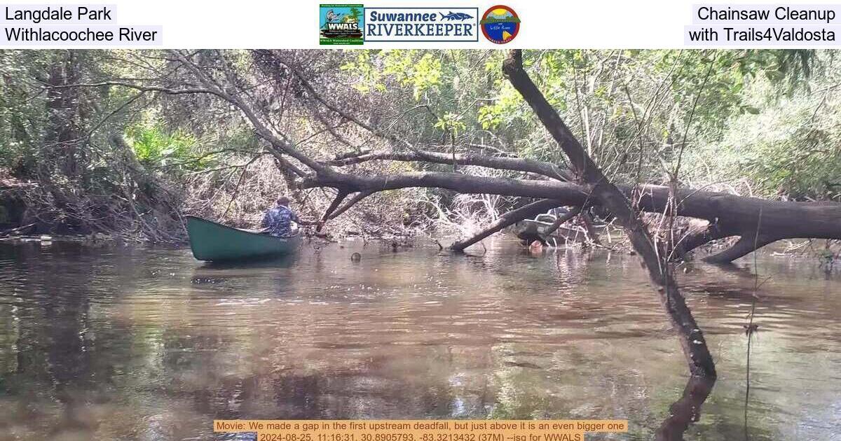 [Langdale Park Chainsaw Cleanup, Withlacoochee River, with Trails4Valdosta]