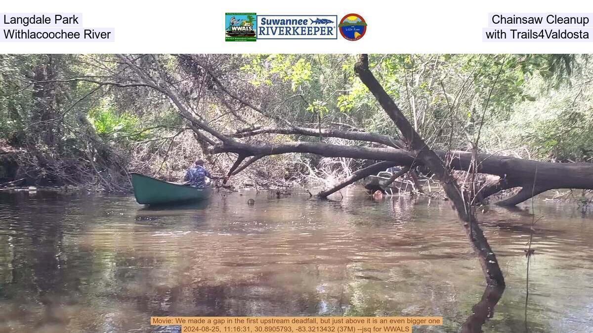 Langdale Park Chainsaw Cleanup, Withlacoochee River, with Trails4Valdosta