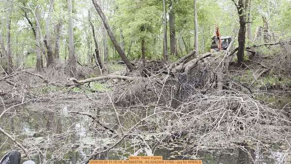 Movie: There it goes, 2026:03:29 11:15:14, 30.8865738, -83.3242308 (17M) --jsq for WWALS