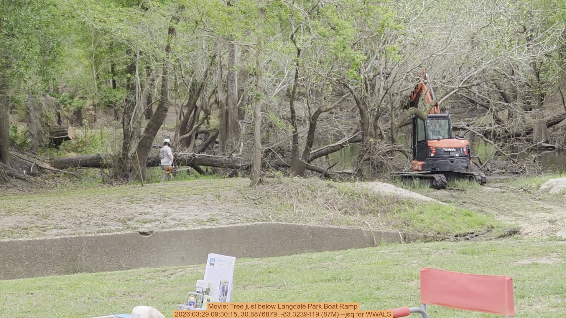 Movie: Tree just below Langdale Park Boat Ramp, 2026:03:29 09:30:15, 30.8876879, -83.3239419 (87M) --jsq for WWALS