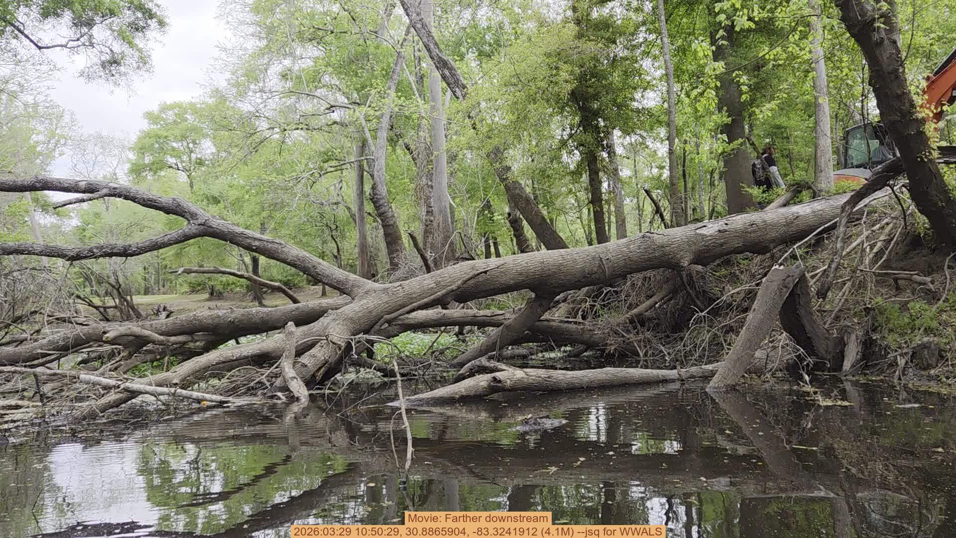 Movie: Farther downstream, 2026:03:29 10:50:29, 30.8865904, -83.3241912 (4.1M) --jsq for WWALS