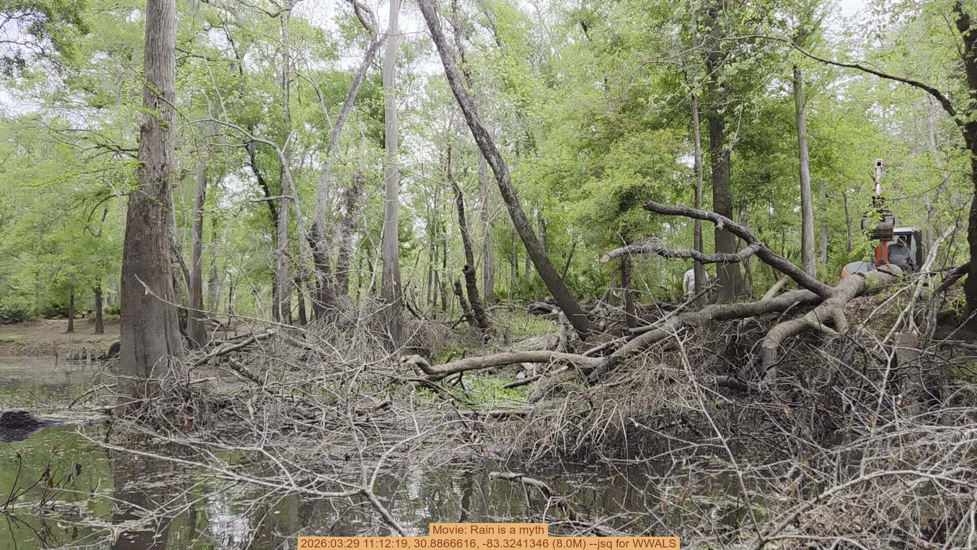 Movie: Rain is a myth, 2026:03:29 11:12:19, 30.8866616, -83.3241346 (8.0M) --jsq for WWALS