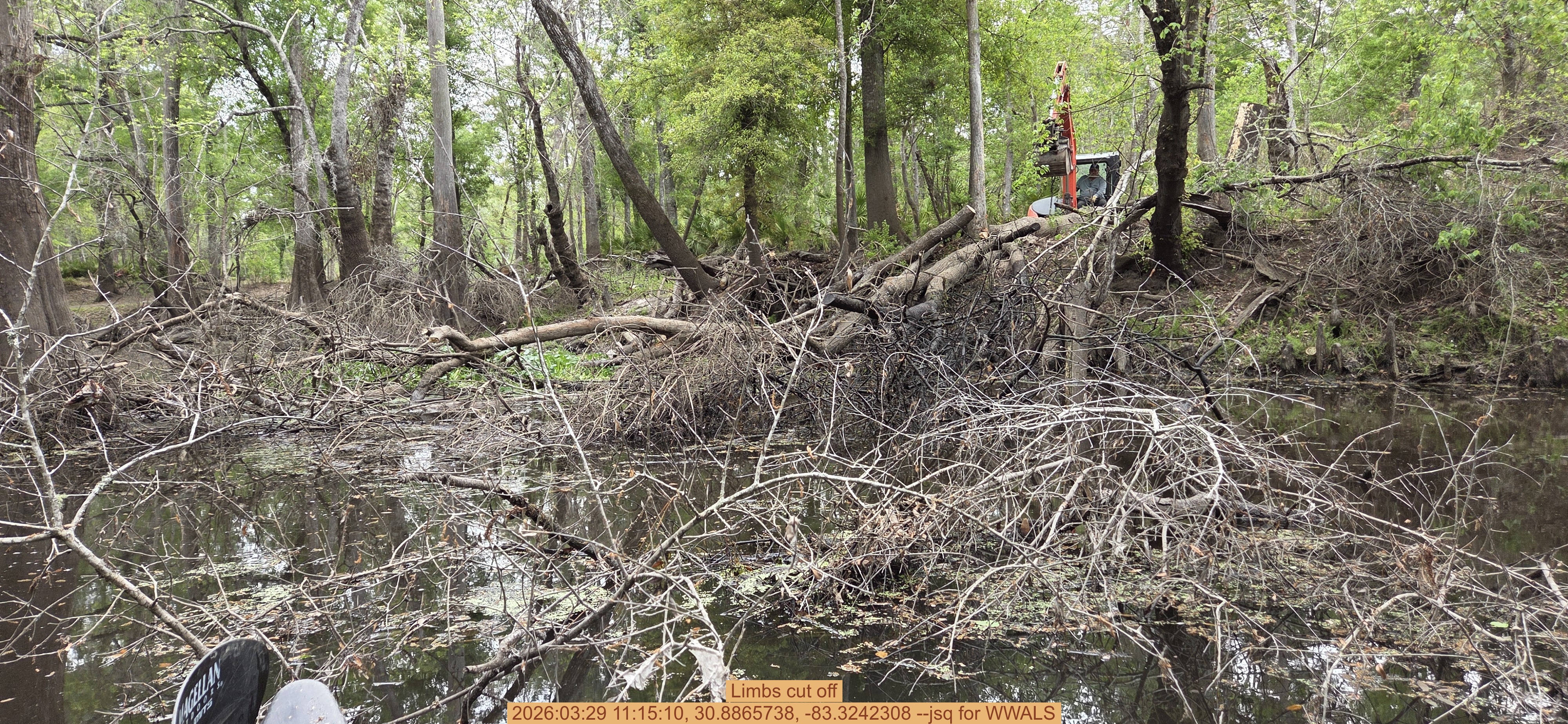 Limbs cut off, 2026:03:29 11:15:10, 30.8865738, -83.3242308 --jsq for WWALS