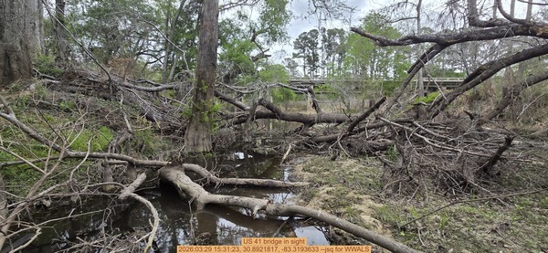 [US 41 bridge in sight, 2026:03:29 15:31:23, 30.8921817, -83.3193633 --jsq for WWALS]