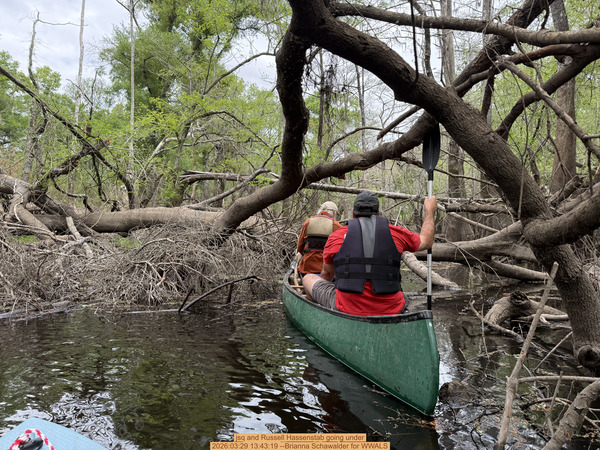 [jsq and Russell Hassenstab going under, 2026:03:29 13:43:19 --Brianna Schawalder for WWALS]