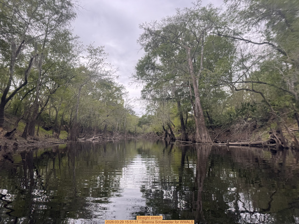 [Straight stretch, 2026:03:29 15:51:11 --Brianna Schawalder for WWALS]