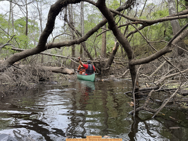 Tight passage, 2026:03:29 14:12:26 --Brianna Schawalder for WWALS