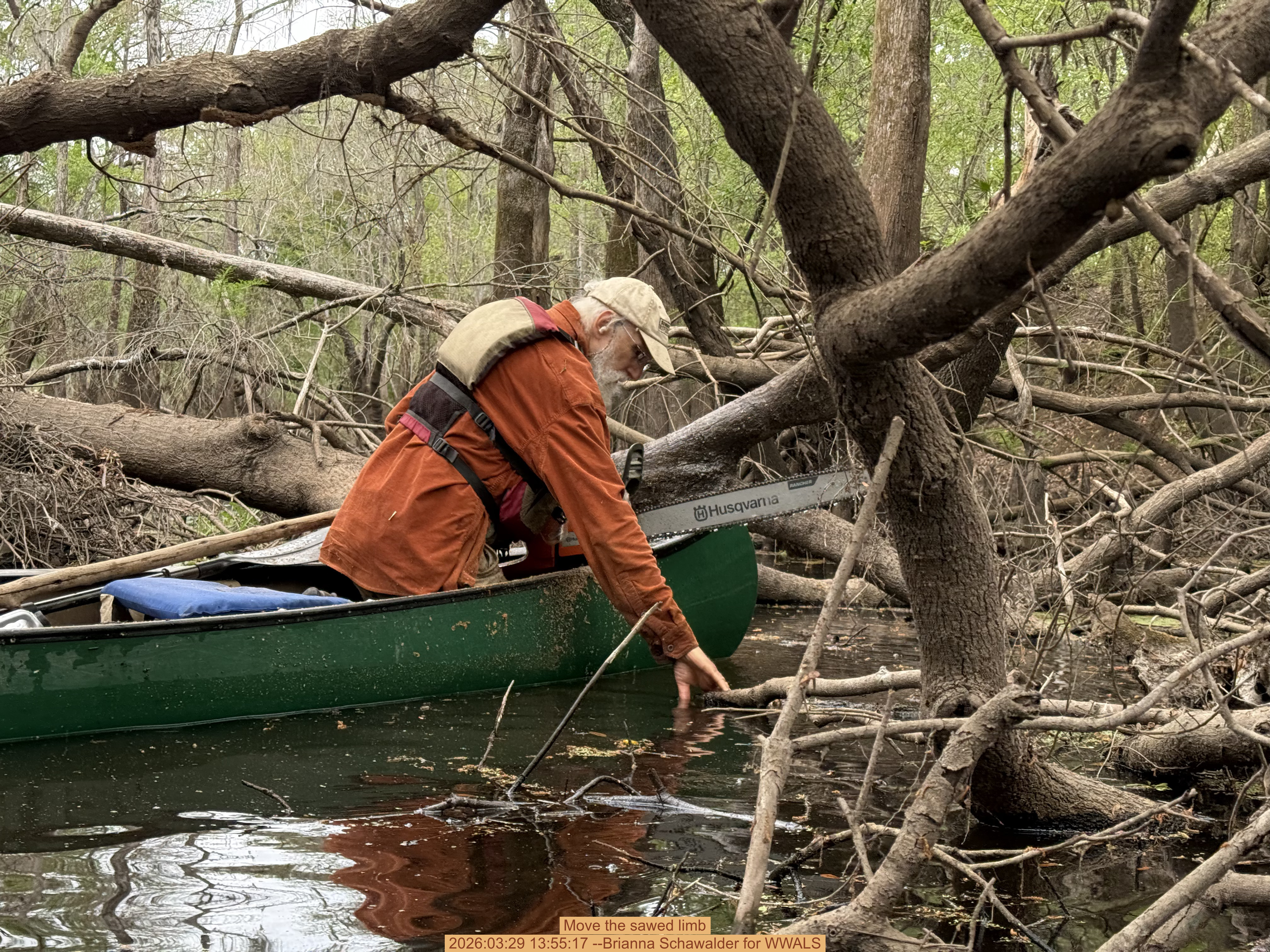 Move the sawed limb, 2026:03:29 13:55:17 --Brianna Schawalder for WWALS