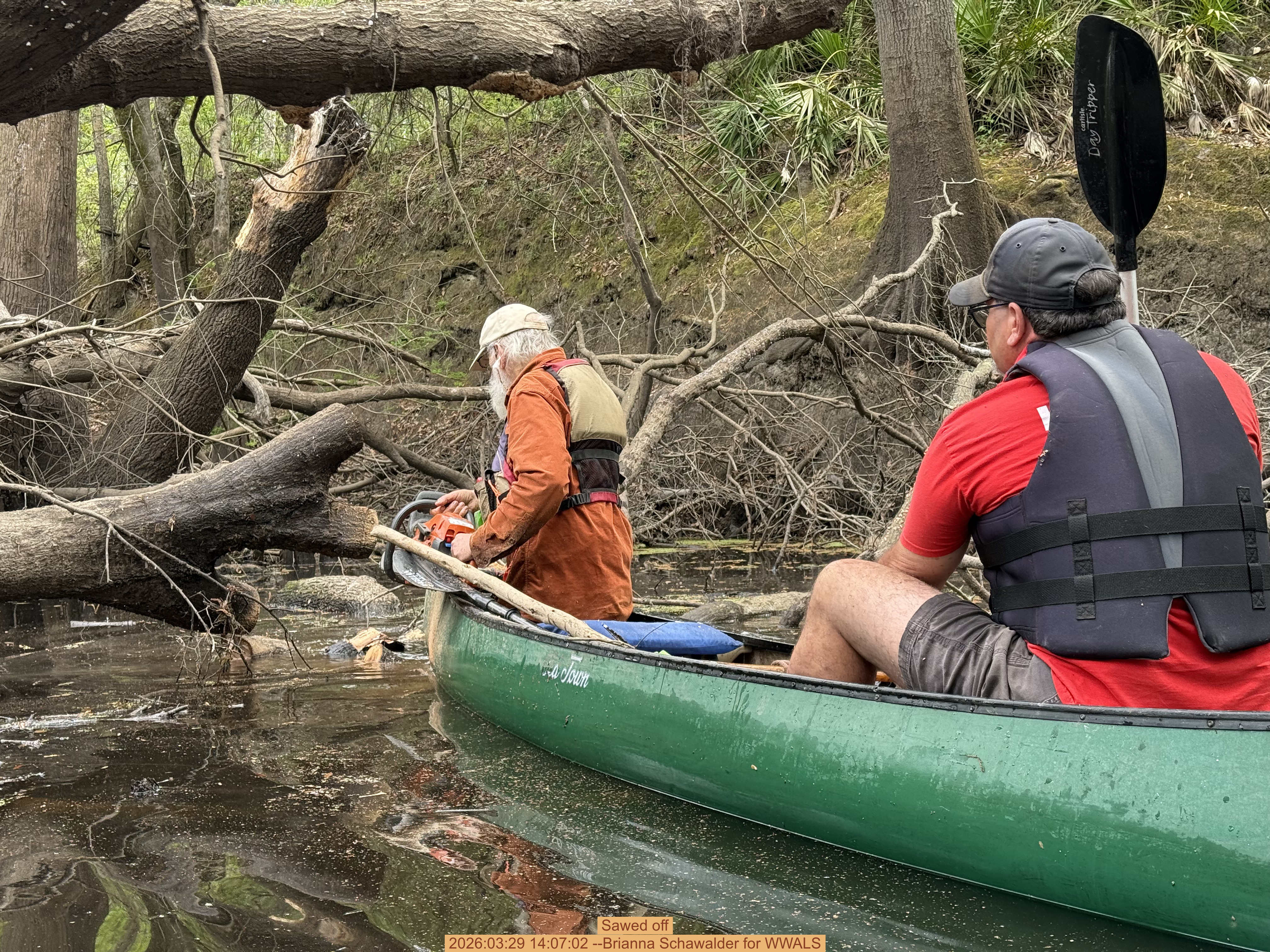 Sawed off, 2026:03:29 14:07:02 --Brianna Schawalder for WWALS