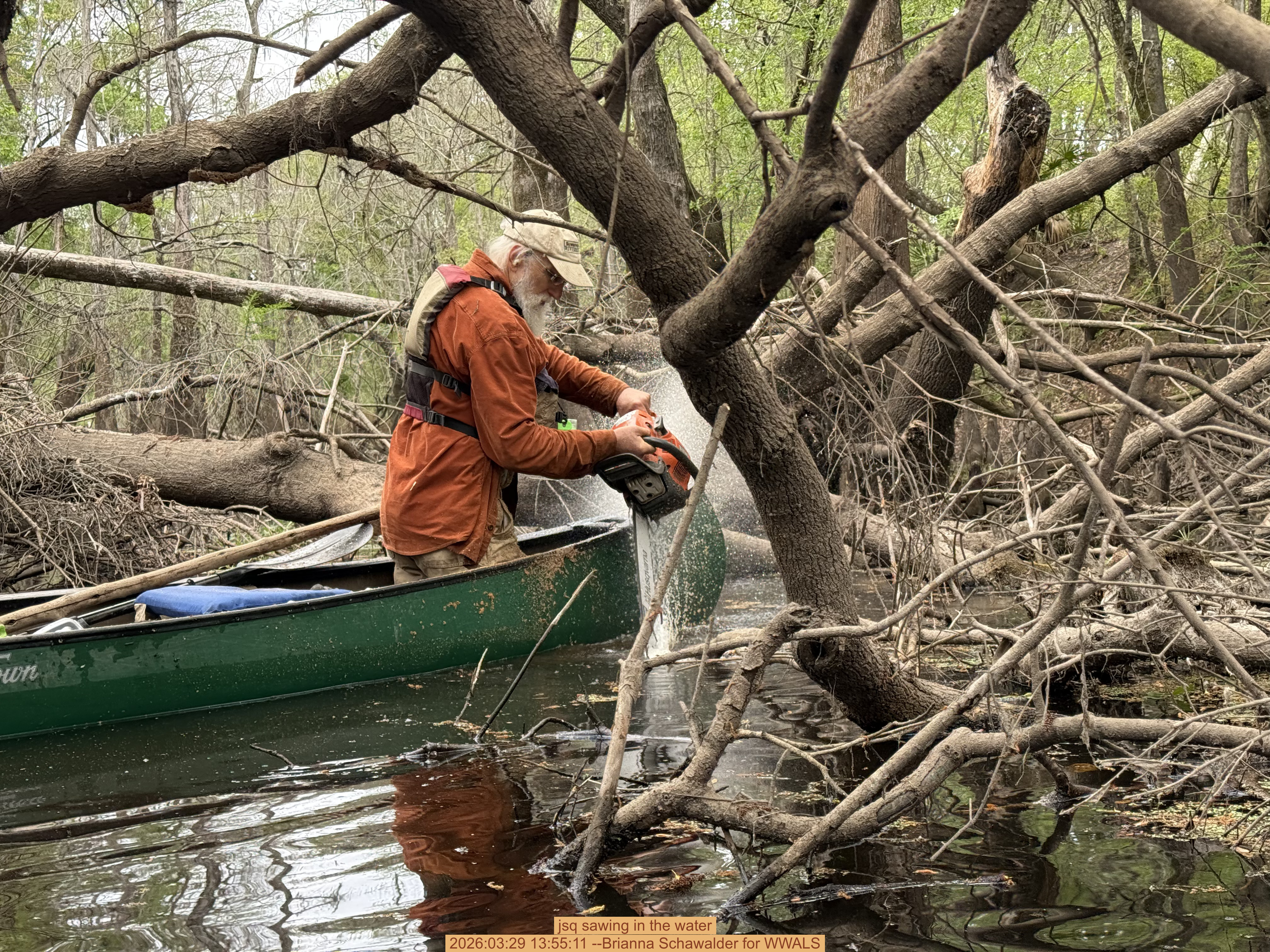 jsq sawing in the water, 2026:03:29 13:55:11 --Brianna Schawalder for WWALS