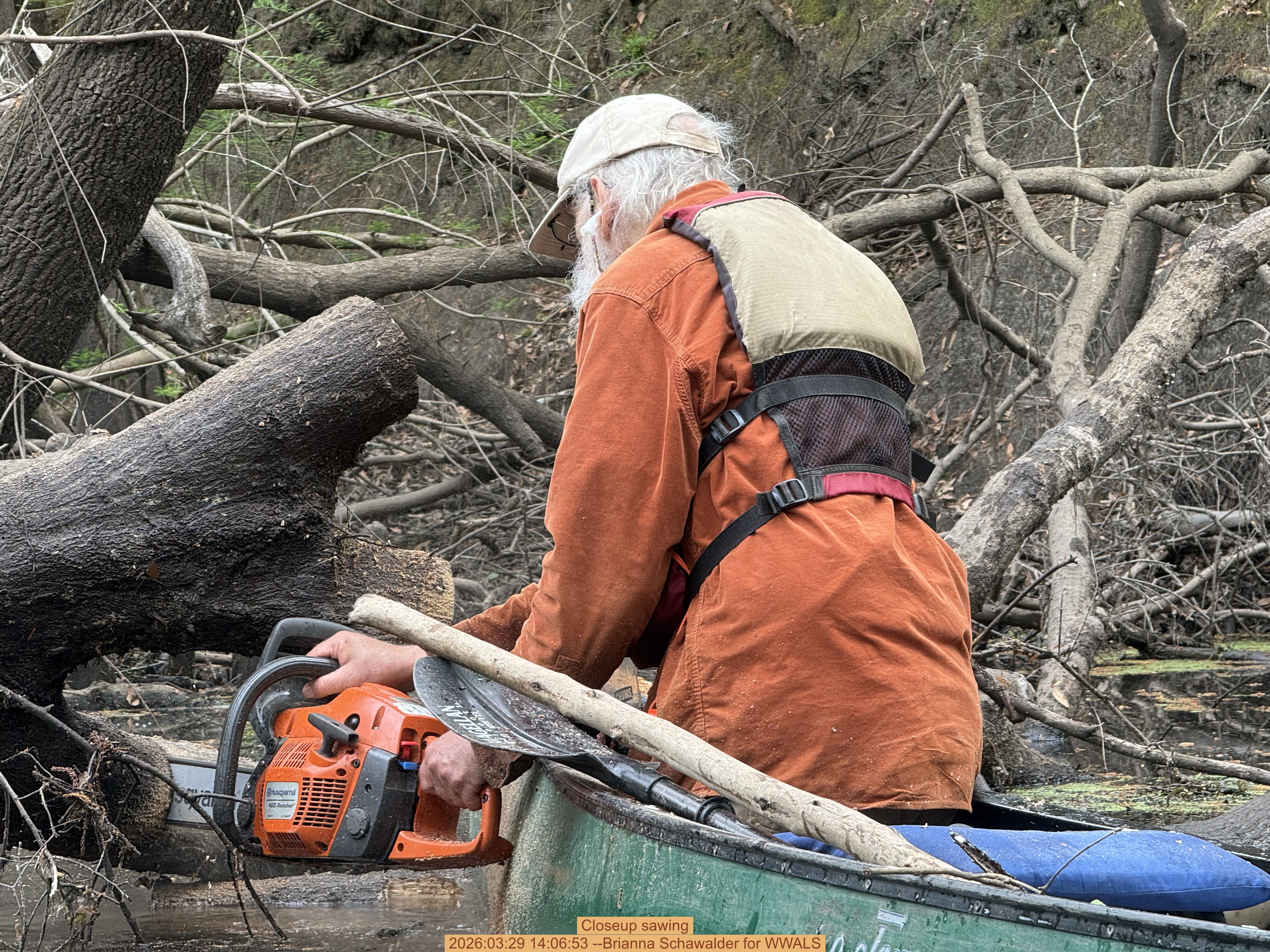 Closeup sawing, 2026:03:29 14:06:53 --Brianna Schawalder for WWALS