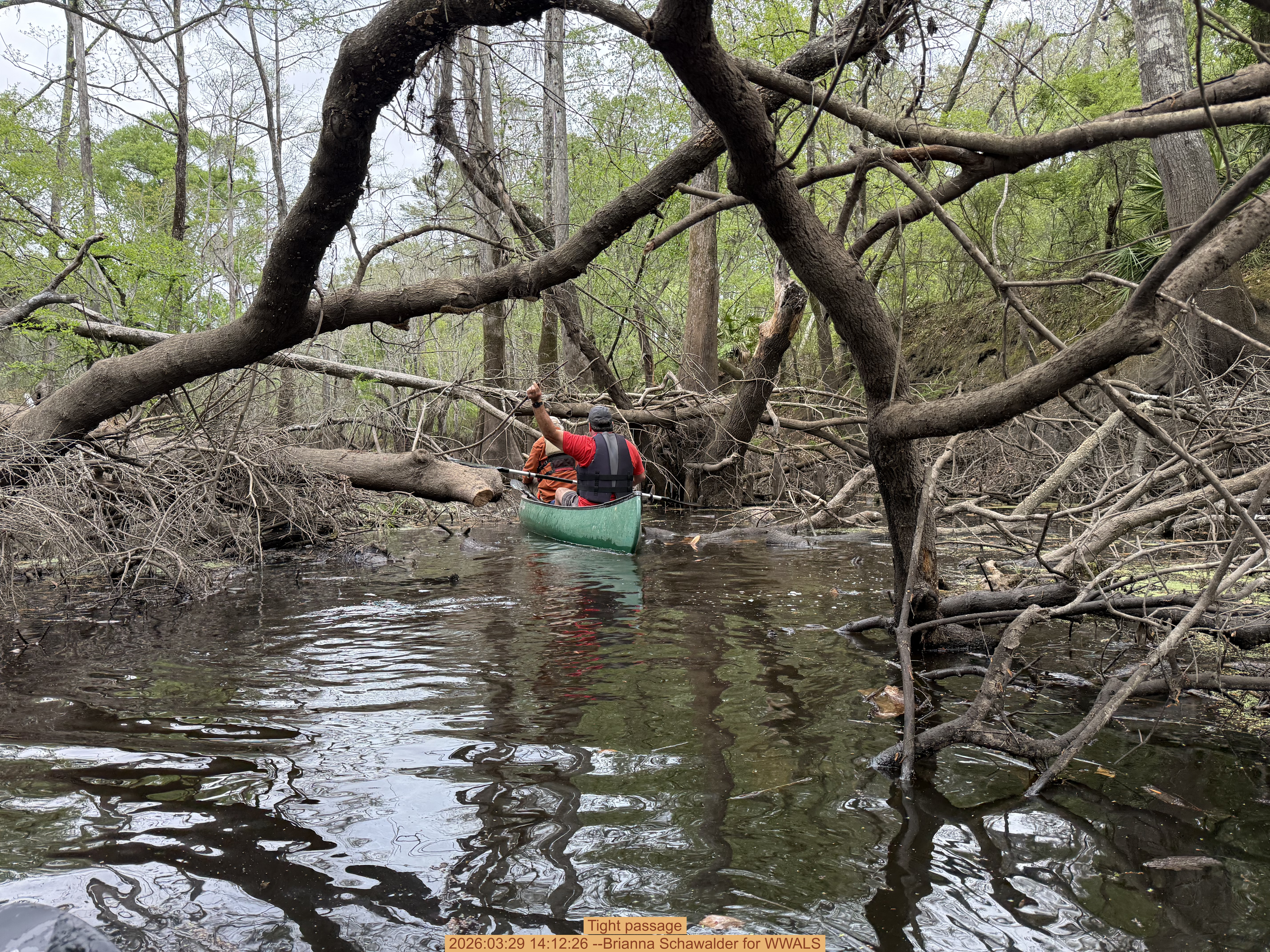Tight passage, 2026:03:29 14:12:26 --Brianna Schawalder for WWALS