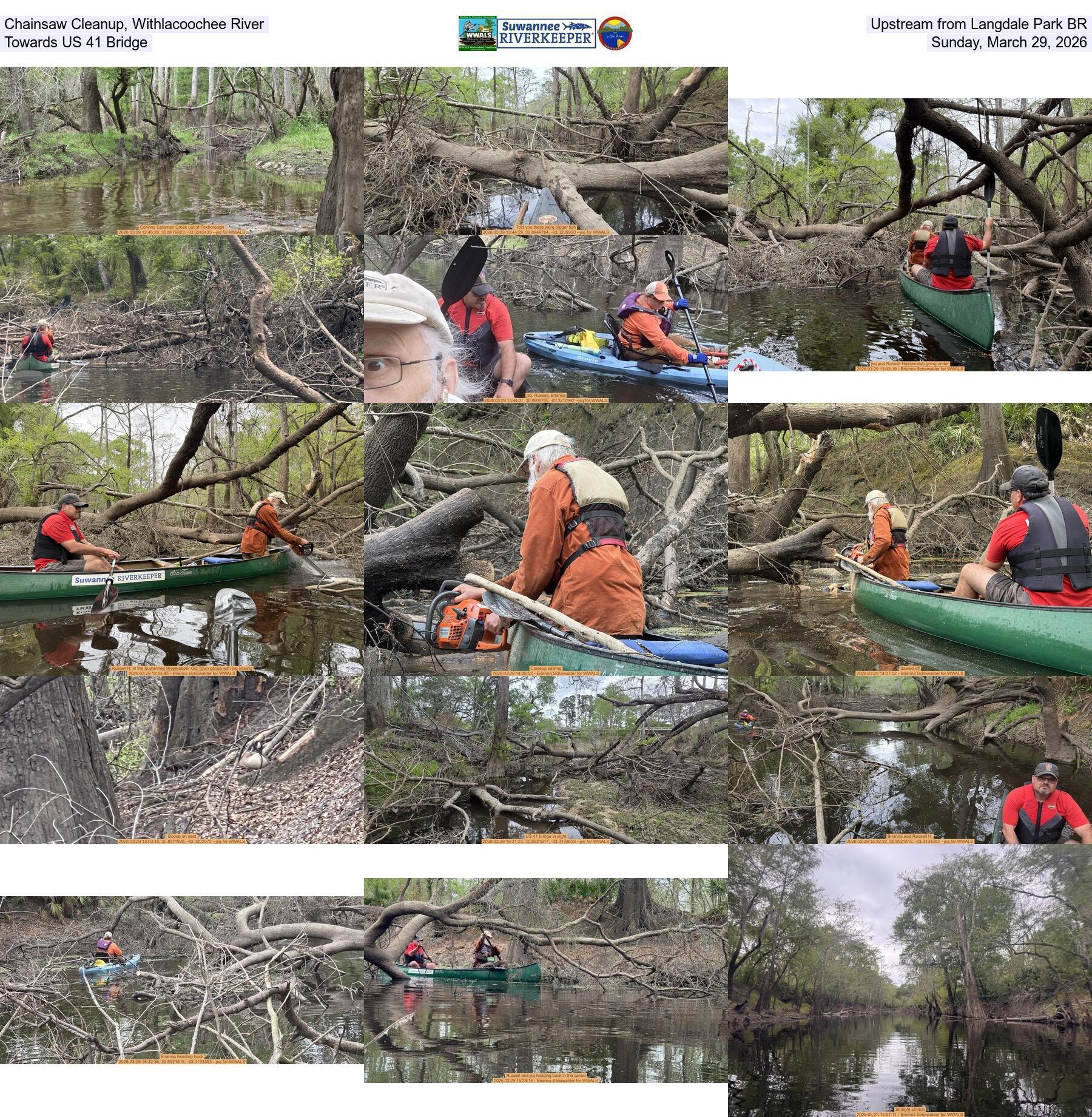 Chainsaw Cleanup, Withlacoochee River, Upstream from Langdale Park BR, Towards US 41 Bridge, Sunday, March 29, 2026