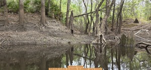 [20260329 132949, 2026:03:29 13:29:49, 30.8922056, -83.3256628 --jsq for WWALS]