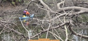 [Brianna heading back, 2026:03:29 15:32:36, 30.8921618, -83.3193363 --jsq for WWALS]