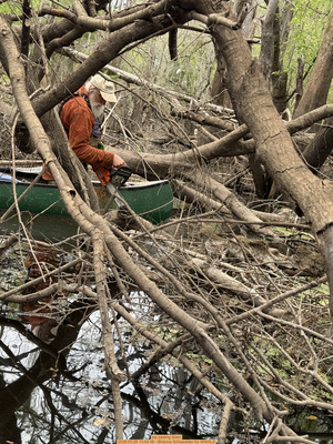 [jsq sawing down, 2026:03:29 13:54:48 --Brianna Schawalder for WWALS]