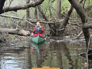 [Got through, 2026:03:29 14:12:36 --Brianna Schawalder for WWALS]